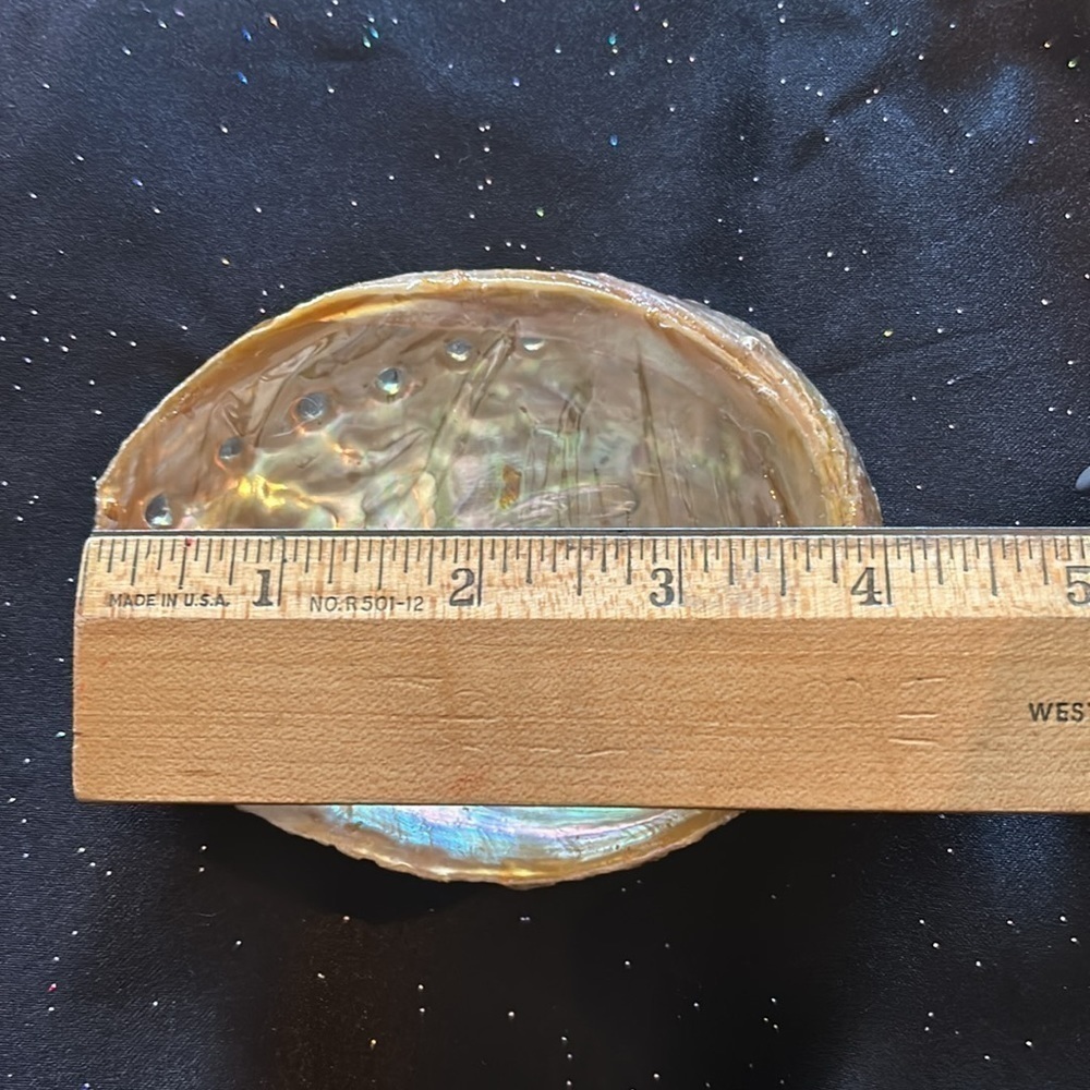 Abalone shell for smudging or as an accent! - Picture 3 of 4
